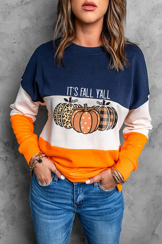 Blue Cute Pumkin Print Fall Vibe Color Block Sweatshirt Graphic Sweatshirts JT's Designer Fashion