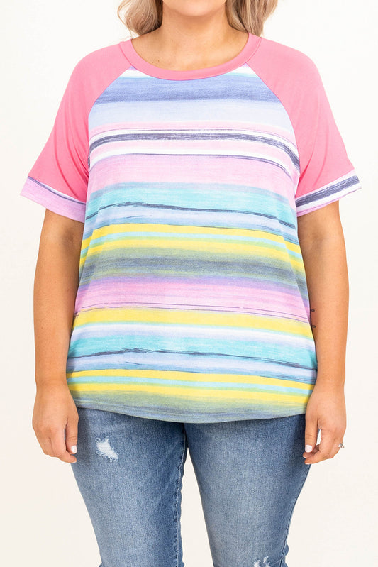 Multicolor Striped Plus Size Raglan Sleeve Top Plus Size Tops JT's Designer Fashion